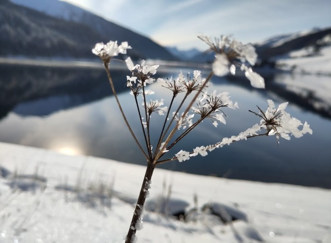 Your Property, Our Commitment