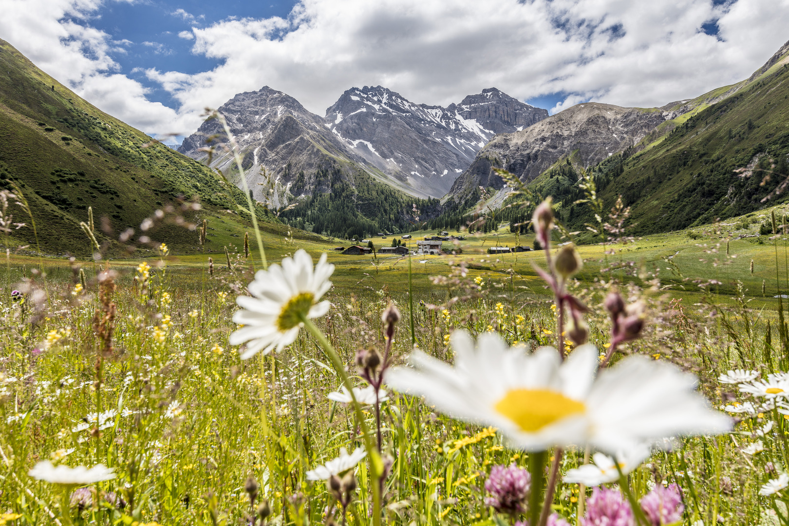 Sommerliche Glücksmomente in Davos